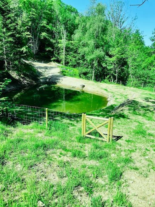 Chalet En Foret Avec Etang. Saint-Etienne-les-Remiremont Εξωτερικό φωτογραφία