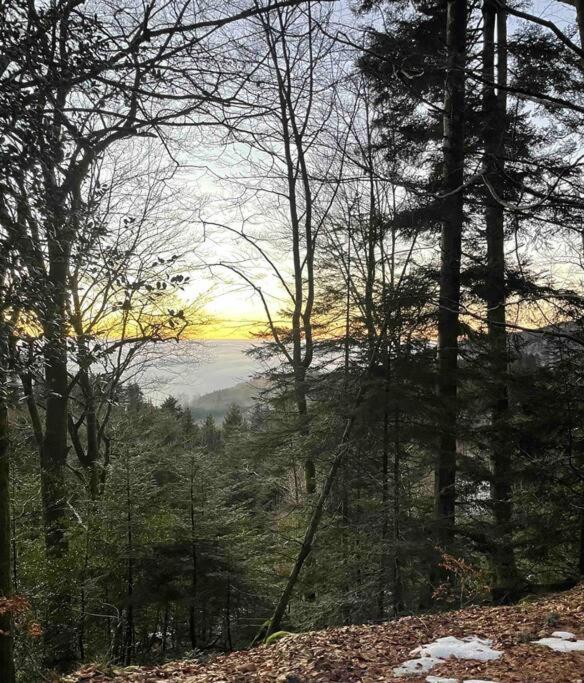 Chalet En Foret Avec Etang. Saint-Etienne-les-Remiremont Εξωτερικό φωτογραφία