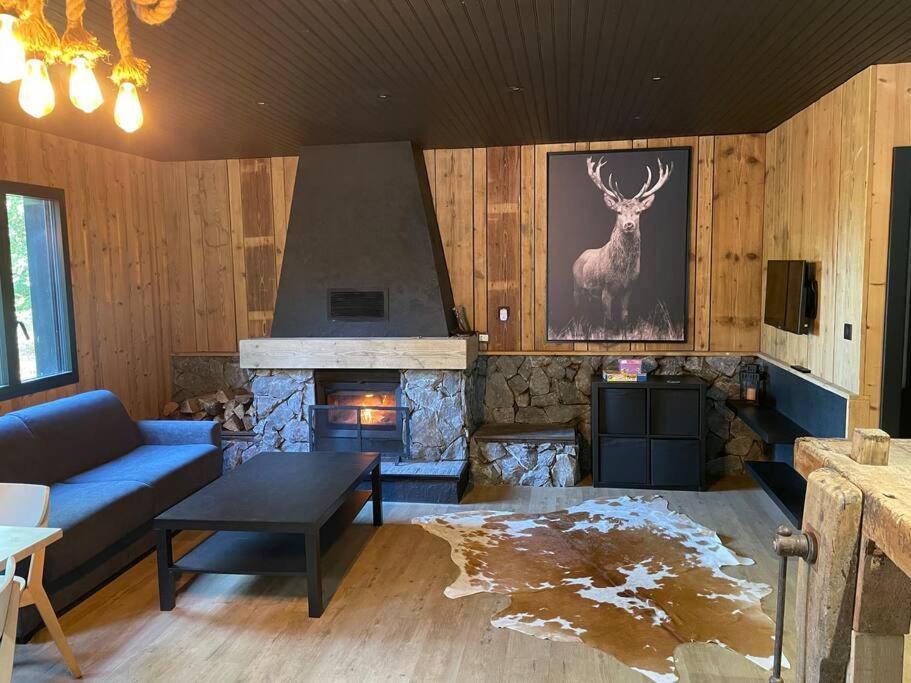 Chalet En Foret Avec Etang. Saint-Etienne-les-Remiremont Εξωτερικό φωτογραφία