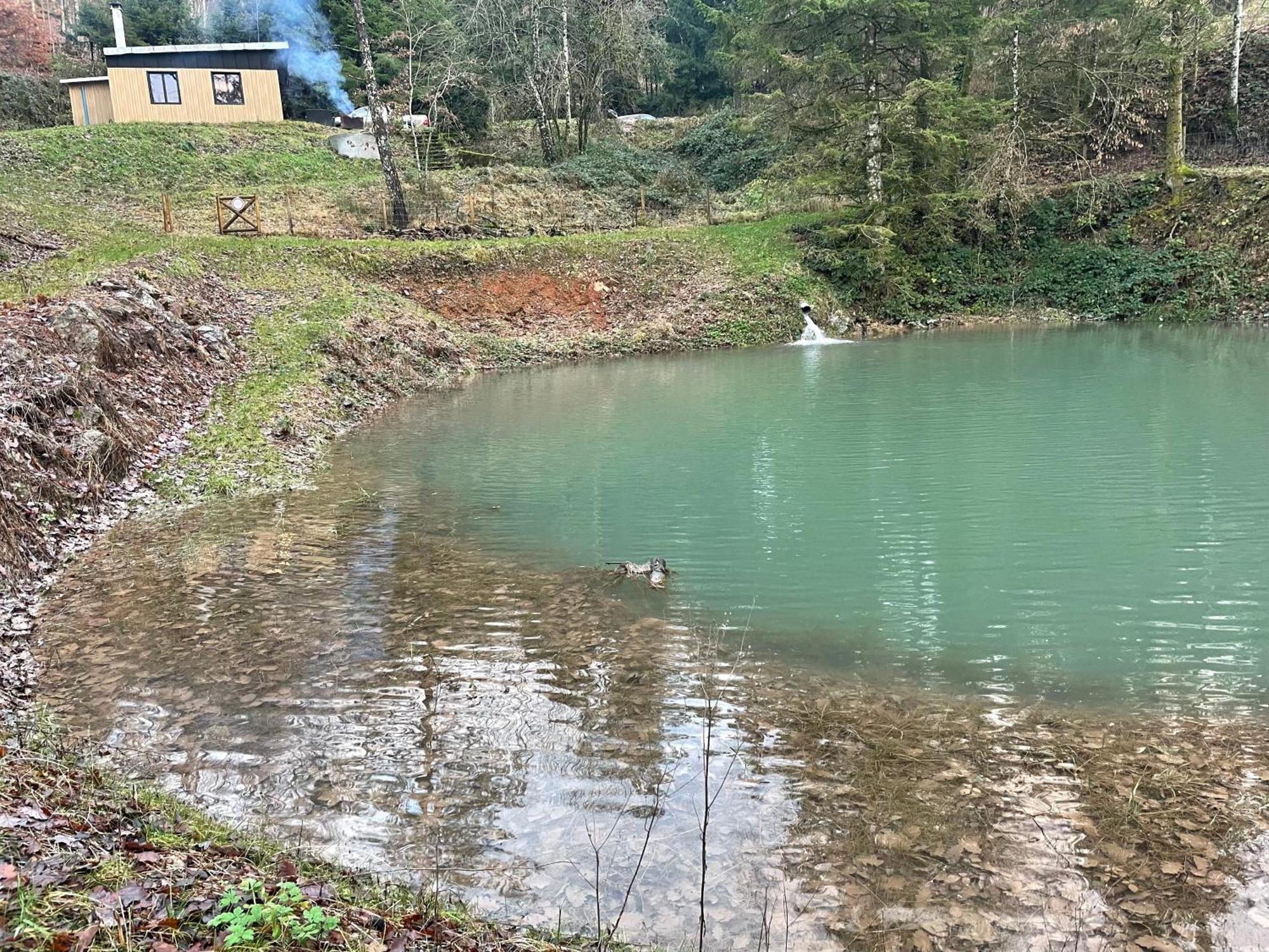 Chalet En Foret Avec Etang. Saint-Etienne-les-Remiremont Εξωτερικό φωτογραφία