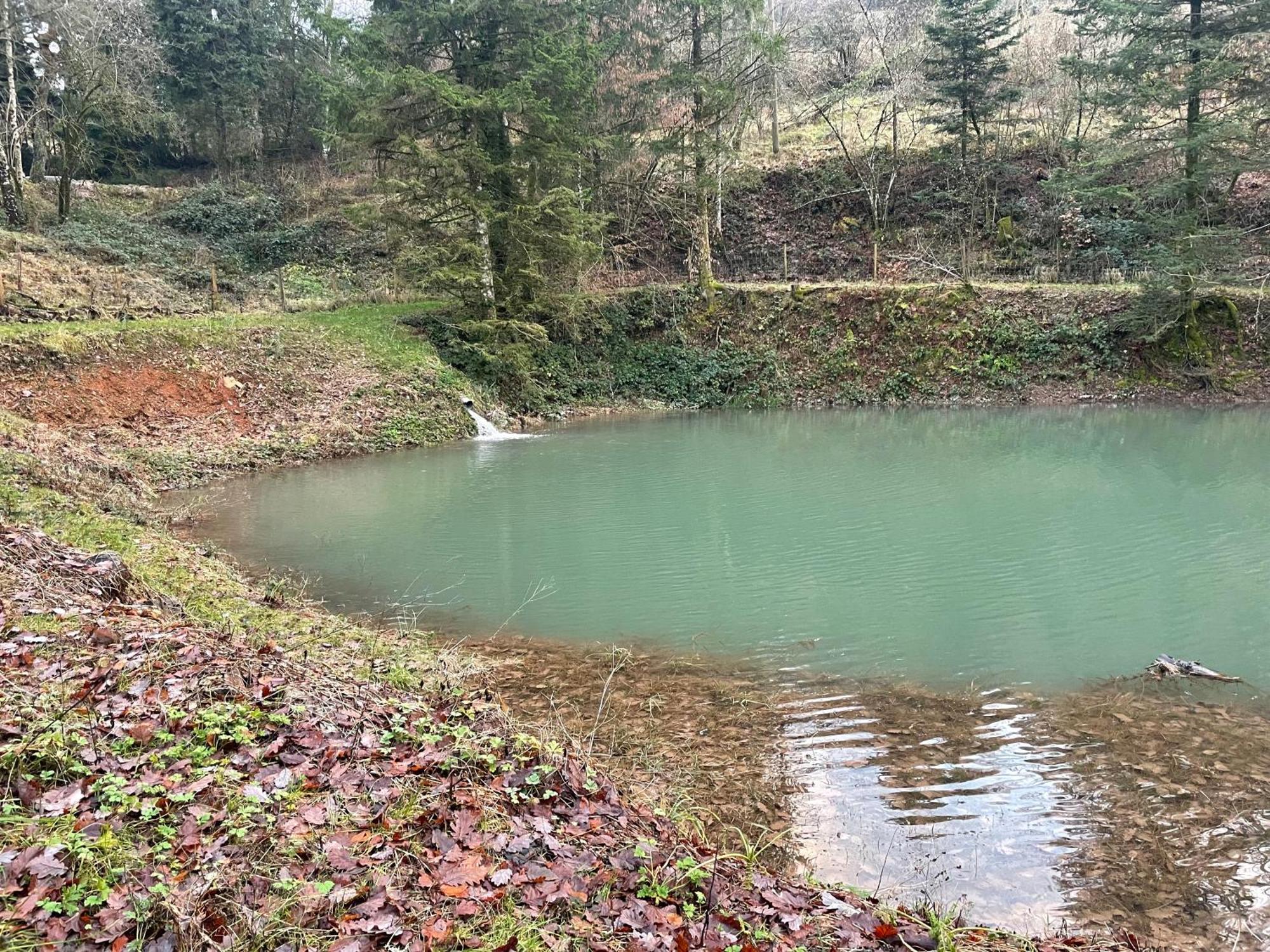 Chalet En Foret Avec Etang. Saint-Etienne-les-Remiremont Εξωτερικό φωτογραφία